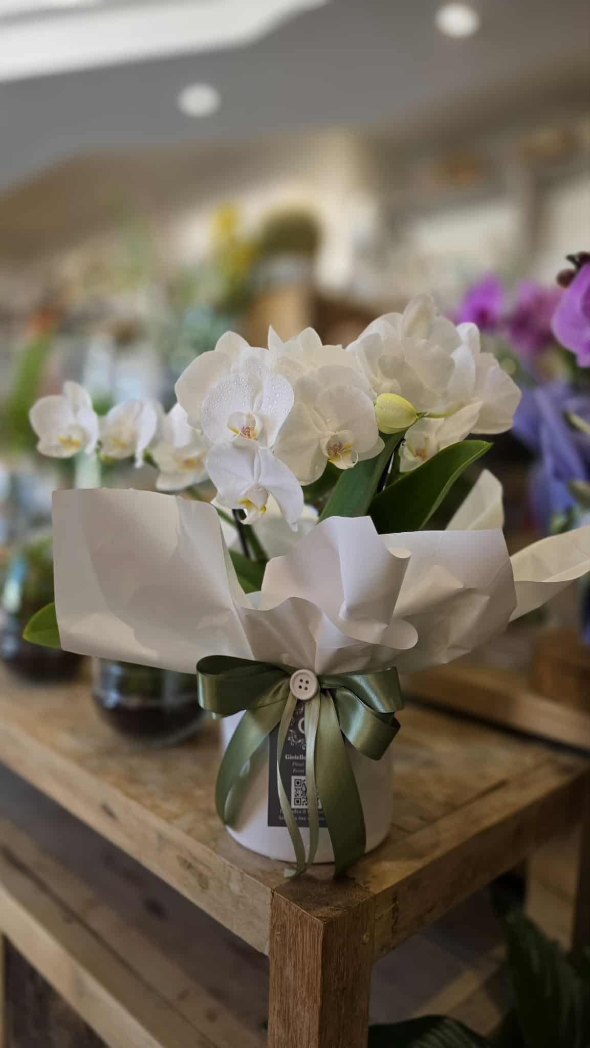 0a68894a-bc83-458e-be56-5d1262f4a1f9